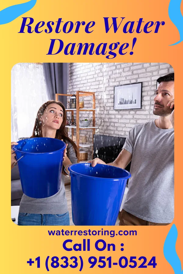 water restoration Galaxy Water Restoration Services Elrama